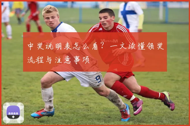 中奖说明表怎么看？一文读懂领奖流程与注意事项