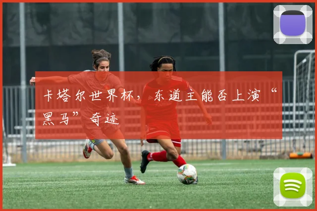 卡塔尔世界杯,东道主能否上演“黑马”奇迹