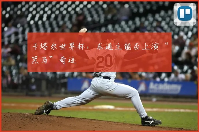 卡塔尔世界杯,东道主能否上演“黑马”奇迹