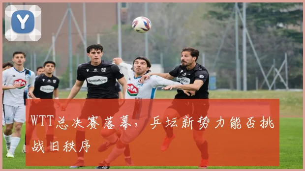 WTT总决赛落幕，乒坛新势力能否挑战旧秩序