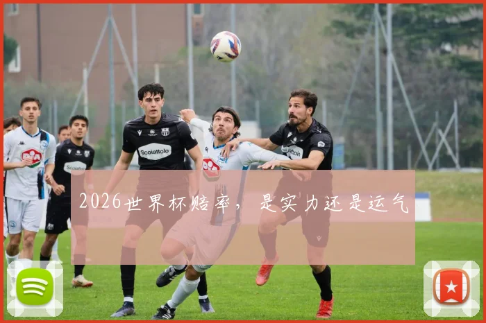 2026世界杯赔率,是实力还是运气